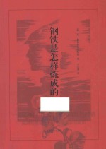 钢铁是怎样炼成的