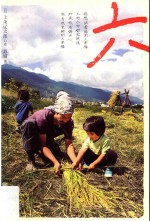 六 一个日本人在大理的耕食与爱情