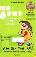 你的6岁孩子 全新升级版