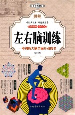 图解左右脑训练 彩图典藏版