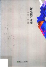 新电视产业观