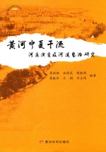 黄河宁夏干流河床演变及河道整治研究