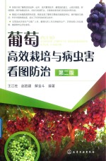 葡萄高效栽培与病虫害看图防治 第2版