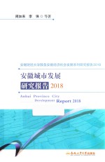 安徽城市发展研究报告 2018版
