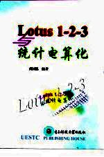 Lotus 1-2-3与统计电算化