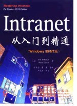 Intranet从入门到精通 Windows 95/NT版