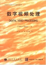 数字视频处理
