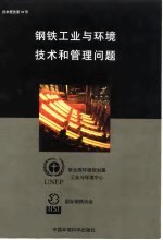 钢铁工业与环境技术和管理问题 技术报告第38号