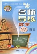 名师导练 数学 八年级 下