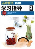 高中化学新课程学习指导 必修2 鲁科技版
