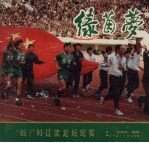 绿茵梦 ’85/’91辽沈足坛纪实 摄影集