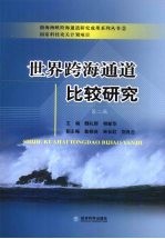 世界跨海通道比较研究