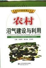 农村沼气建设与利用