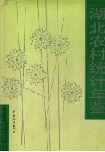 湖北农村统计年鉴 1993