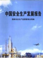 中国安全生产发展报告 下