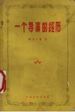 一个导演的经历
