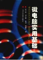 微电脑实用基础