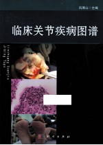 临床关节疾病图谱