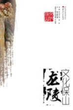 文化保山 龙陵