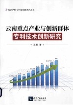 云南重点产业与创新群体专利技术创新研究