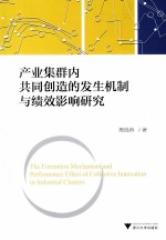 产业集群内共同创造的发生机制与绩效影响研究