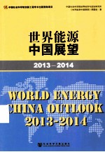 世界能源中国展望 2013-2014