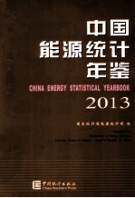 中国能源统计年鉴 2013