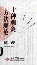十种刺灸方法规范图谱