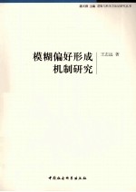 模糊偏好形成机制研究