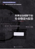 刑事法治视野下的社会稳定与反恐