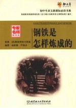 钢铁是怎样炼成的