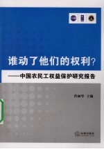 谁动了他们的权利?:中国农民工权益保护研究报告