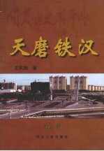 天磨铁汉 第三部