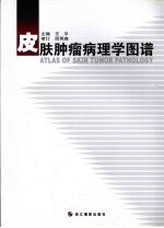 皮肤肿瘤病理学图谱