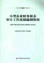 小型企业财务报表审计工作底稿编制指南(适用于审计执行企业会计制度的小型企业)