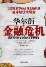 华尔街金融危机：危机四伏的全球经济与未来走势