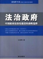 法治政府:中国政府法治化建设的战略选择