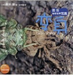 昆虫秘密世界写真 变身