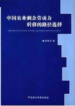 中国农业剩余劳动力转移的路径选择