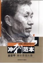 金安平解析素描头像冲刺范本