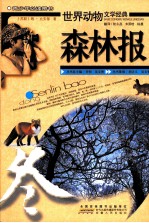 森林报 冬