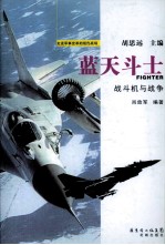 蓝天斗士 战斗机与战争