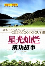 星光灿烂 成功故事