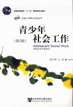 青少年社会工作 第2版