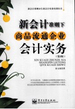 新会计准则下商品流通企业会计实务 第2版
