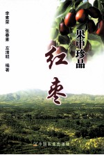 果中珍品 红枣