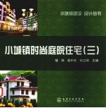小城镇时尚庭院住宅 3
