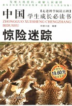 中国学生成长必读书 惊险迷踪