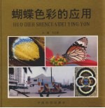 蝴蝶色彩的应用 图册