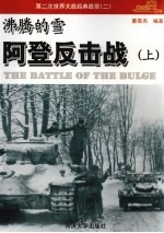 沸腾的雪:阿登反击战 上